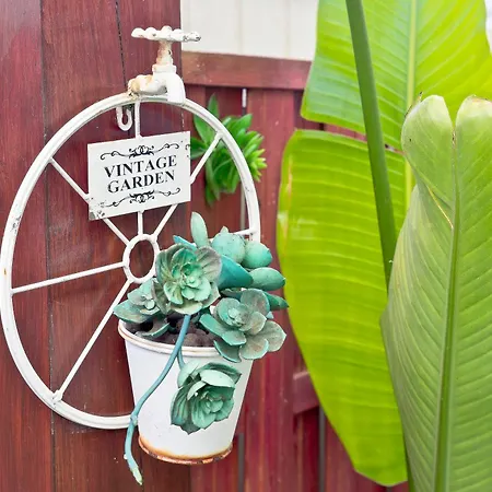 Encosta Do Uima - Διαμέρισμα Caldas de Sao Jorge