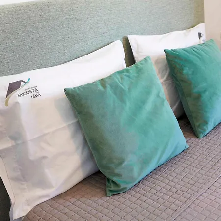 Διαμέρισμα Encosta Do Uima -