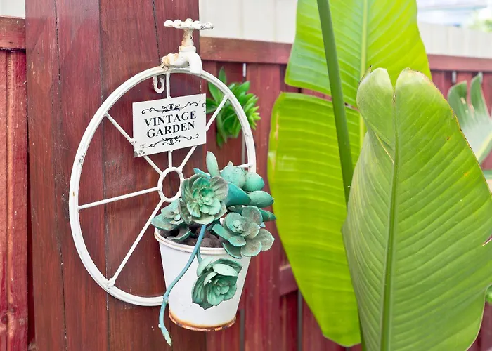 Encosta Do Uima - Апартаменты Caldas de Sao Jorge