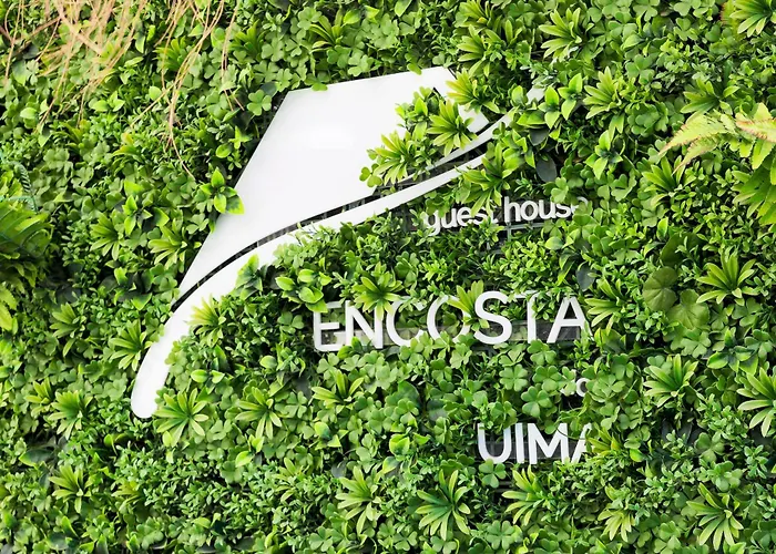 Encosta Do Uima -